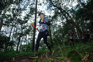 BIB: 
                            <button type="button" onclick="openModal(22569770)" class="btn btn-primary btn-sm float-right btn-popup" data-toggle="modal" data-target=".modal-high-quality">
                        <i class="fas fa-shopping-cart"></i> Add to Cart
                    </button>
                                            <button type="button" onclick="isThisMe(22569770, true)" class="btn btn-success btn-sm float-right btn-popup btn-isme hidden" data-toggle="tooltip" data-placement="bottom" title="นี่คือรูปของคุณใช่ไหม คลิกที่นี่เพื่อเอาเข้าอัลบั้ม">
                        <i class="fas fa-plus"></i> Add to album
                    </button>
                    <button type="button" onclick="isThisMe(22569770, false)" class="btn btn-warning btn-sm float-right btn-popup btn-isnotme hidden">
                        <i class="fas fa-ban"></i> Remove from album
                    </button>